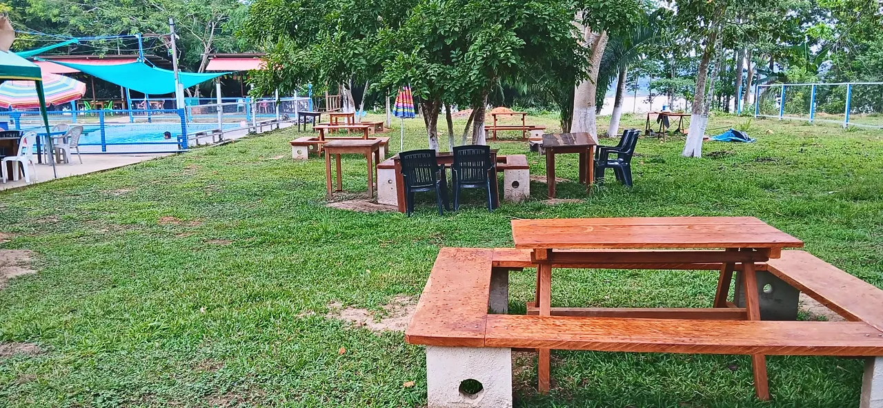 Mesas de madera con bancas sobre el césped, bajo los árboles; al fondo, la piscina con sus toldos.